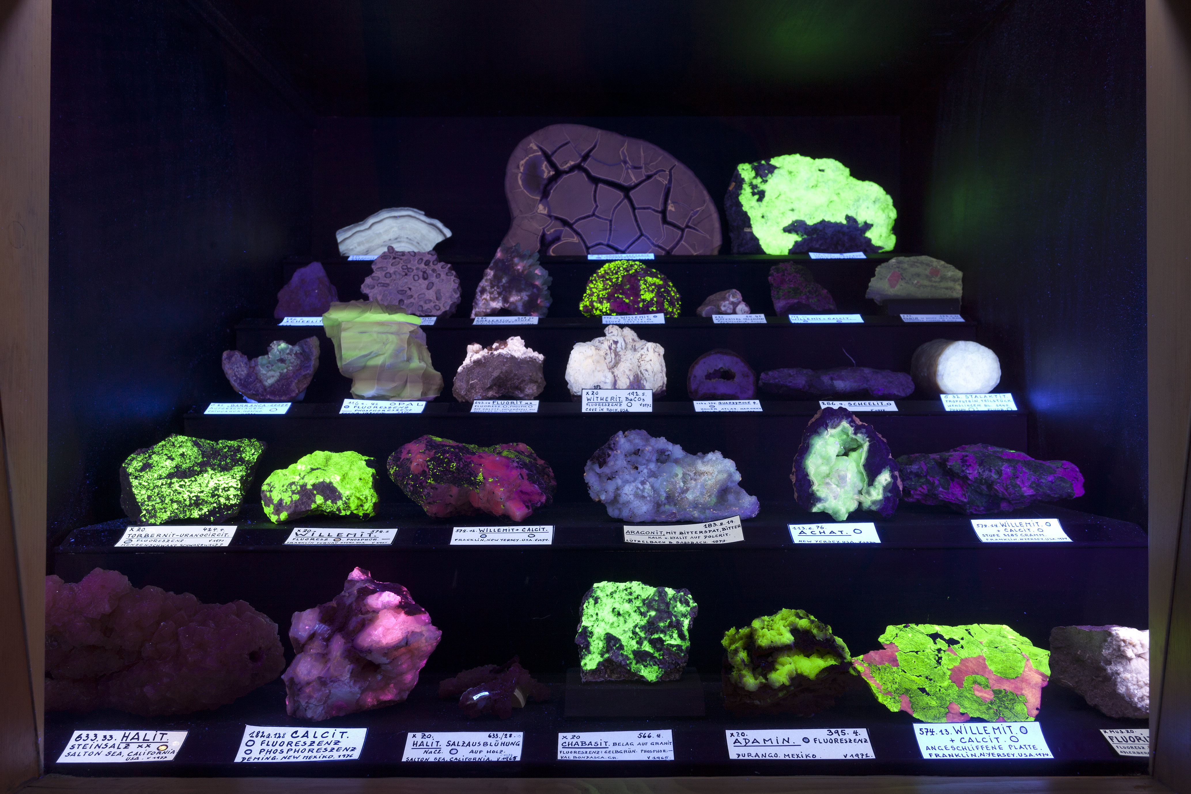 Auf der Suche nach zauberhaften Steinen im Museum Zofingen (Bild: zVg)