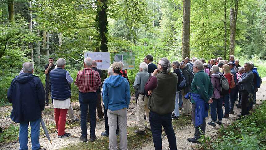 Ortsbürgerwaldgang_2025.JPG